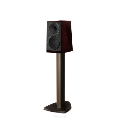 Paradigm Founder 40B Midnight Cherry