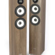 Pylon Audio Zestaw kina Domowego 5.0 Pearl 25 Orzech Autoryzowany Dealer - 3