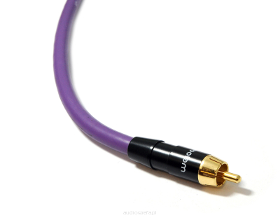 Melodika MDSW50 Kabel do subwoofera (RCA-RCA) Purple Rain - 5m