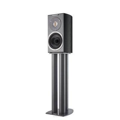 Audiovector R1 Avantgarde Black Ash Autoryzowany Dealer