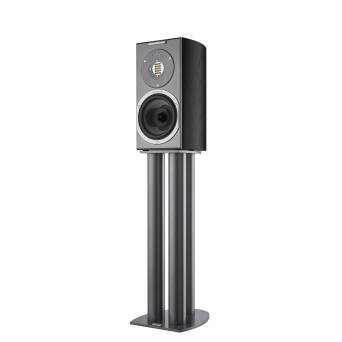 Audiovector R1 Arette Black Ash Autoryzowany Dealer