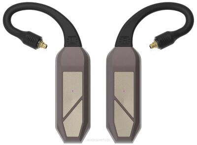 IFI Audio GO Pod Max Przenośny Wzmacniacz Słuchawkowy z DAC Autoryzowany Dealer
