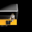 Pro-Ject DEBUT CARBON EVO Biały wysoki połysk Gramofon Autoryzowany Dealer - 3