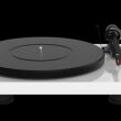 Pro-Ject DEBUT CARBON EVO Biały wysoki połysk Gramofon Autoryzowany Dealer - 2