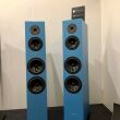 Pylon Audio Diamond 30 Czarne plus lakier bezbarwny Kolumny Autoryzowany Dealer - 8