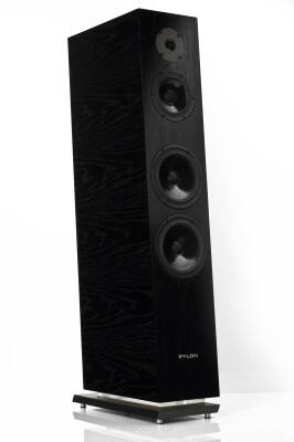 Pylon Audio Diamond 30 Czarne plus lakier bezbarwny Kolumny Autoryzowany Dealer