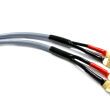 Melodika MDSC1515Gs Gunmetal Edition Kabel głośnikowy z widłami OFC 4N 2x1,5mm2 1,5m 2szt. - 3
