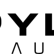 Pylon Audio Diamond Monitor 18 mk2 Lakier HG RAL Kolumny Stereo Autoryzowany Dealer - 4