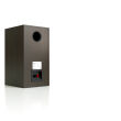 Pylon Audio Pearl Monitor Wenge Kolumny Stereo Autoryzowany Dealer - 2