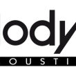 Velodyne DD 15+ Subwoofer Autoryzowany dealer - 7