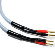 Melodika MDSC1560G Gunmetal Edition Kabel głośnikowy OFC 2x1,5mm2 6m 2szt. - 2