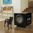 REL Carbon Special Subwoofer Autoryzowany Dealer - 7