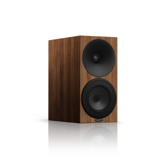 Amphion Argon 1 Kolumna Orzech Autoryzowany Dealer