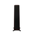 Paradigm Founder 100F Midnight Cherry - 4