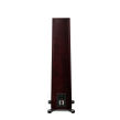 Paradigm Founder 100F Midnight Cherry - 6