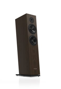 Pylon Audio Diamond 28 mk2 Lakier Bezbarwny Dąb Walnut Kolumny Stereo Autoryzowany Dealer
