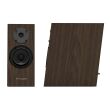 Pylon Audio Diamond Monitor 15 mk2 Olejowosk Charcoral Oak Kolumny Stereo Autoryzowany Dealer - 5
