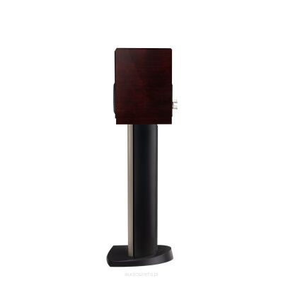 Paradigm Founder 40B Walnut