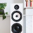 Triangle Borea BR08 kolumny podłogowe (biały) 3-drożne o mocy 150W Autoryzowany dealer - 13